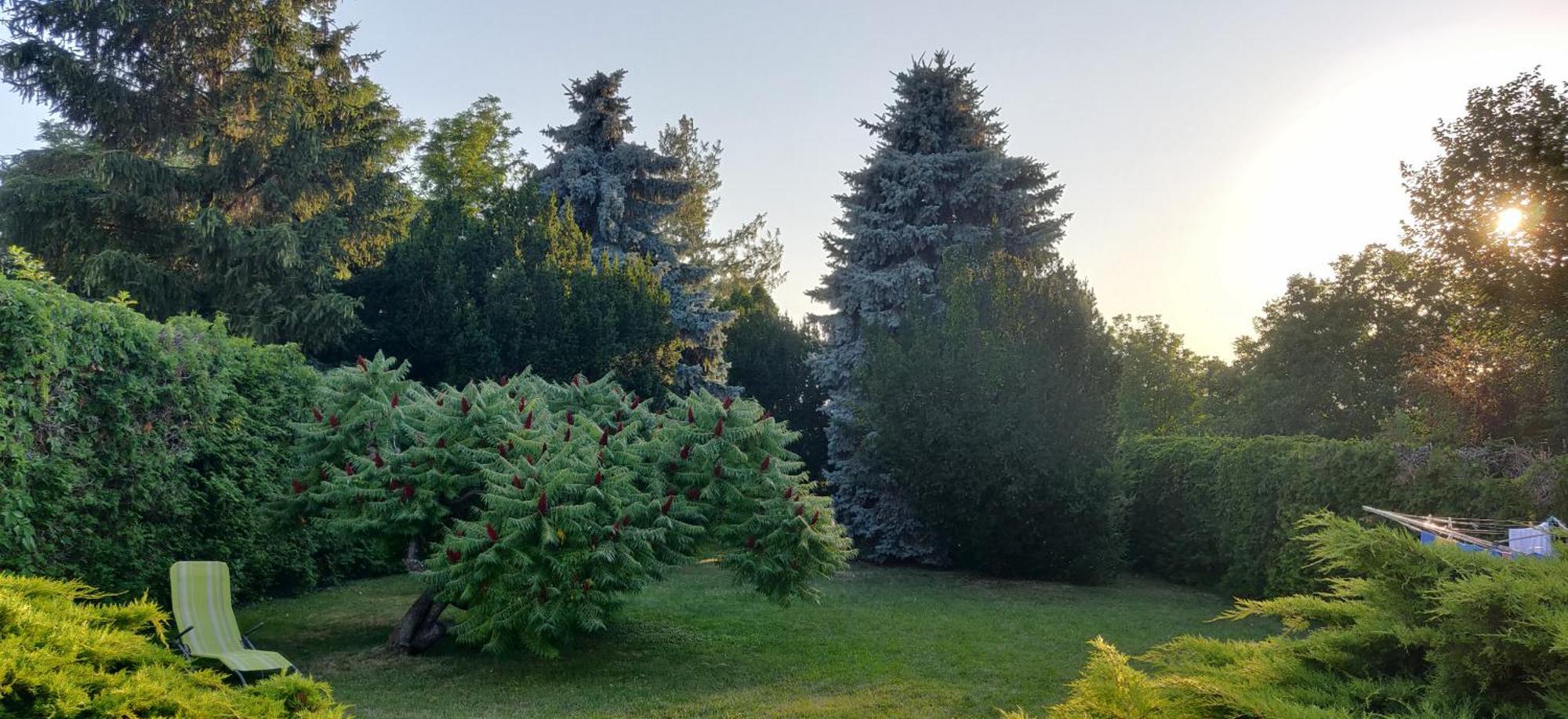 Korona Panzio Bed & Breakfast Balatonbereny Exterior photo