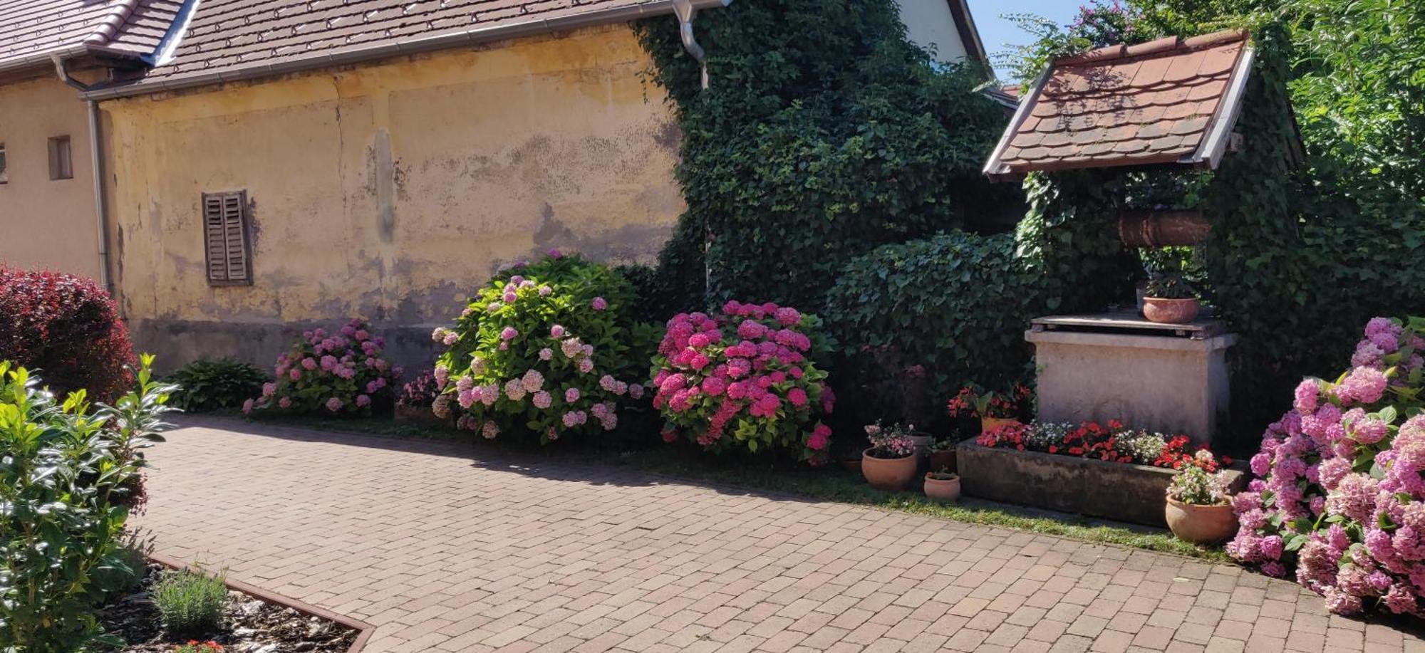 Korona Panzio Bed & Breakfast Balatonbereny Exterior photo
